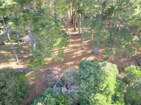 Terreno en Venta 25  mts Fondo