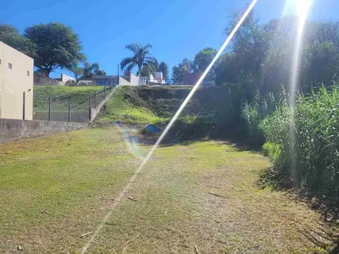 Sergio Camargo 7000