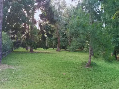 Terreno en Venta en Lomas de San Francisco, USD 39.000