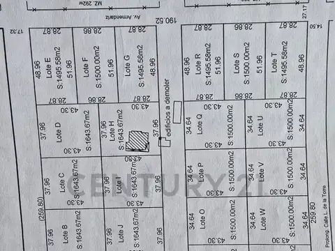VENTA 4,6 HA.DE CAMPO CON CASA  EN SALADILLO 