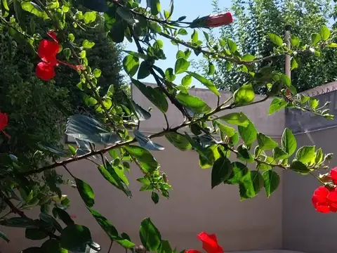 Casa en Venta en Villa Devoto, USD 530.000