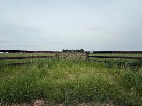 Terreno en Venta 236  mts Fondo