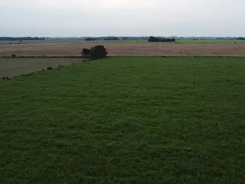 Terreno en Venta en Villa Lia, USD 130.000