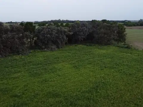 Terreno en Venta de 50000,0 m2