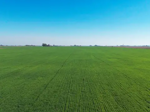 Campo en venta Salto Grande Sant Fe oportunidad inversión 30 hectareas