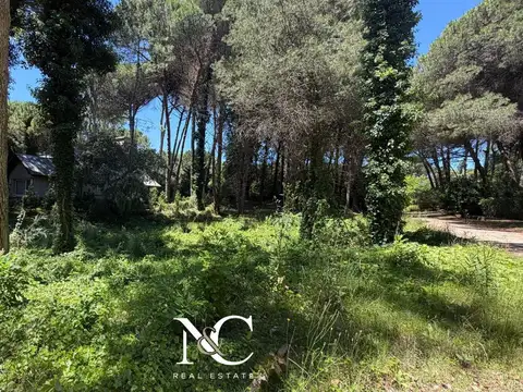 Urraca y Caoba