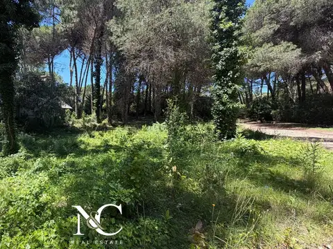 Terreno en Venta de 923,0 m2
