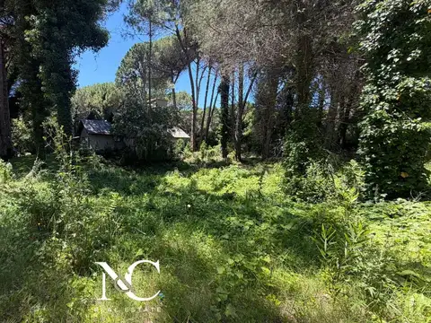 Terreno en Venta en Carilo