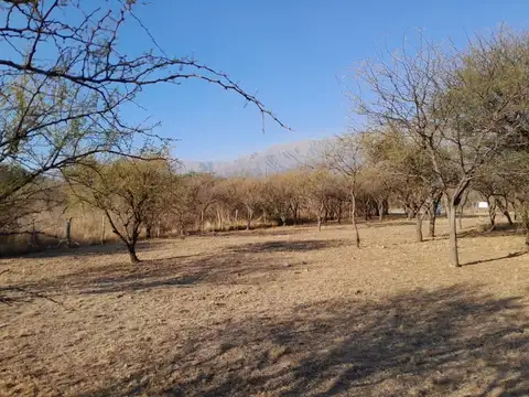 VENTA DE LOTE EN CRUZ DE CAÑA