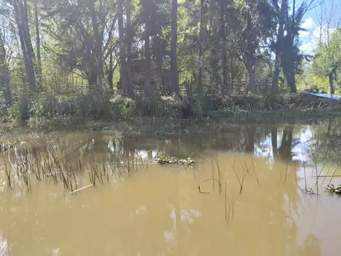 Rio / Arroyo Felicaria Vera 100