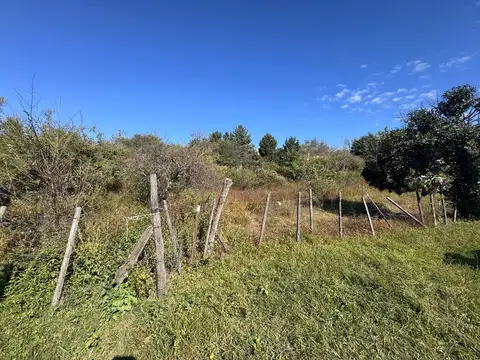 Las Acacias