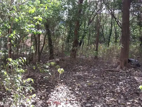 Terreno en Venta 15  mts Frente