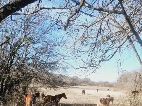 Campo en venta - 8 Hectáreas - Córdoba