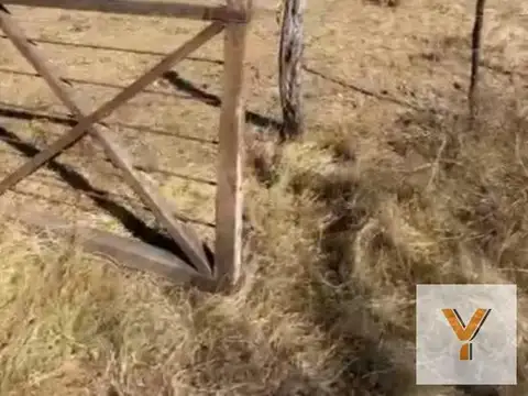 Campo en venta - 8 Hectáreas - Córdoba