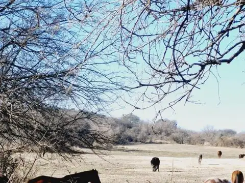 Ruta E 53 e/ Agua de Oro y Salsipuedes