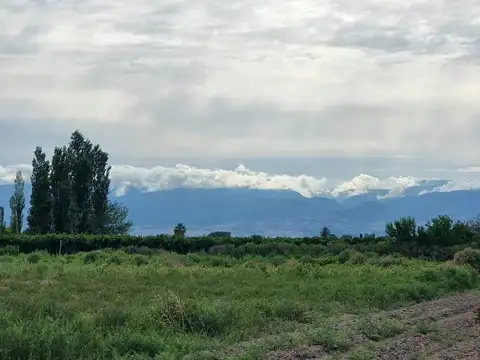 Excelente oportunidad de una Finca Productiva a 30 km de San Juan