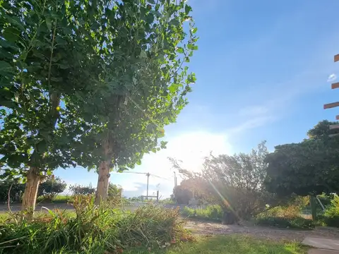 Campo en Venta de 38  ha
