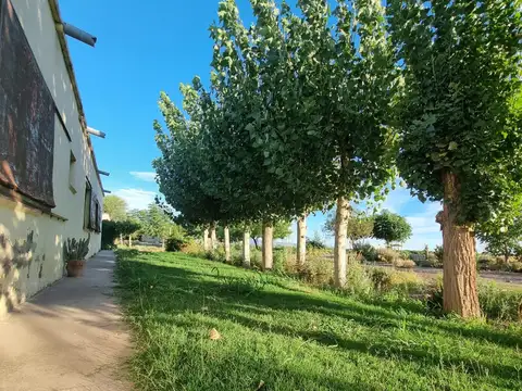 Campo en Venta de 38  ha