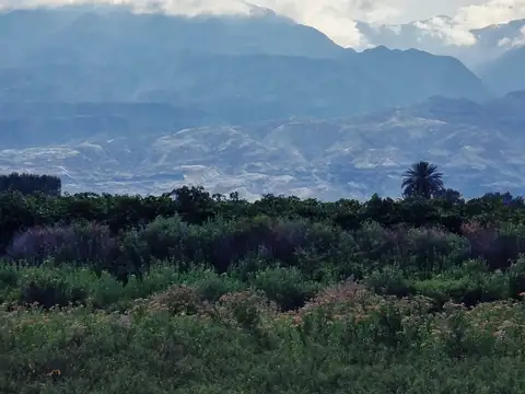Distrito de El Bosque
