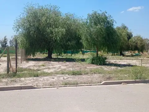Terreno en Venta 10  mts Frente