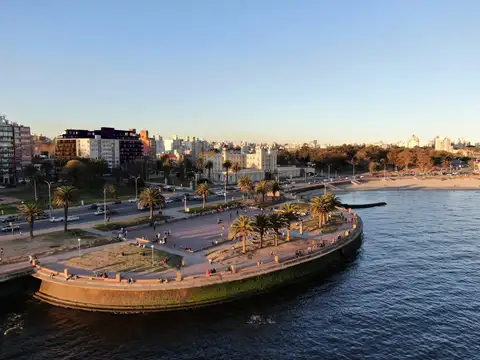 Dr. Luis Piera - Cosmopolitan