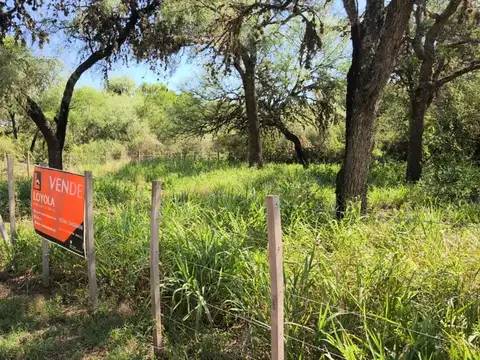 Terreno en Venta en Centro, USD 28.000