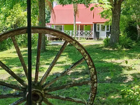 Camino Transito Pesado