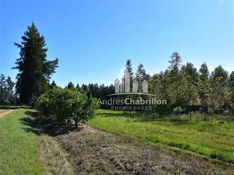 Colonia Ayuí 110
