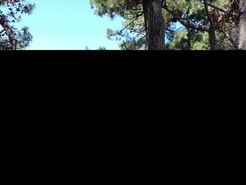 1520 m2 Sobre Avenida Del Plata / 30M de Fte, POSIBIlIDAD DE SUBDIVISION