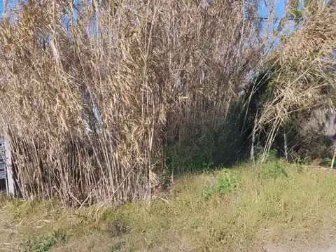 Terreno en Venta 10  mts Frente