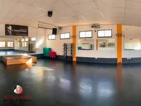 Francisco Blazquez 100