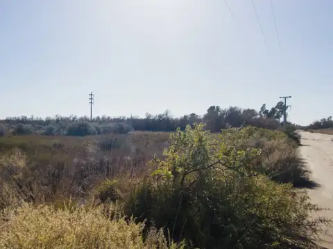 VENTA - LOTE - 1 HECTAREA - VILLA ARIAS - PUNTA ALTA
