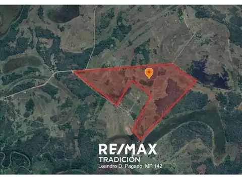 CAMPO MIXTO EN VENTA – 105 HAS-MONGAY, LAS PALMAS