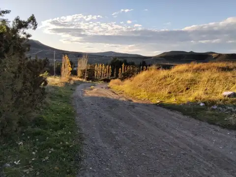 1 HECTAREA EN BELLA VISTA NORTE,CASA Y CORRALES