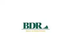 BDR INMOBILIARIA