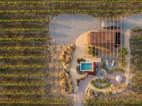 Venta finca de 2.500 m² en Anchoris, Sobre Ruta 40 Km 3250, Valle de Uco, Mendoza