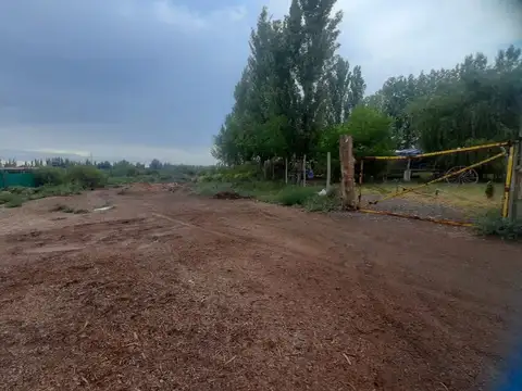 Calle 24 y 28 100