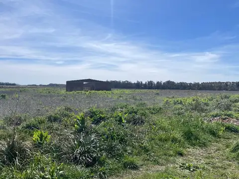 VENTA CHACRA/CAMPO 2,96 HECT SANTA IRENE  MIRAMAR