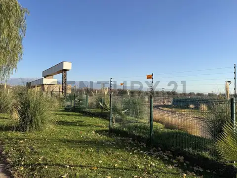 Bruno moron y vazquez , Piso Maipu