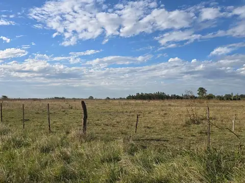 CAMPO EN VENTA-CAÑUELAS