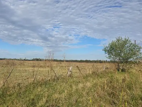 CAMPO EN VENTA-CAÑUELAS
