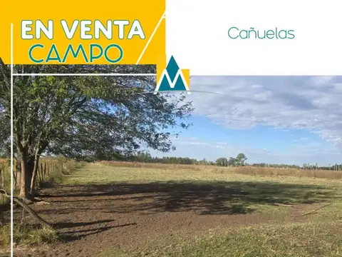 CAMPO EN VENTA-CAÑUELAS