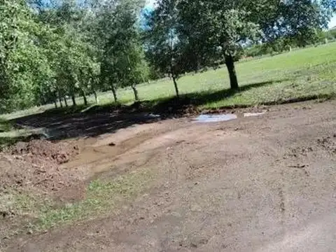 Terreno en venta - 1.006Mts2 - Cañuelas