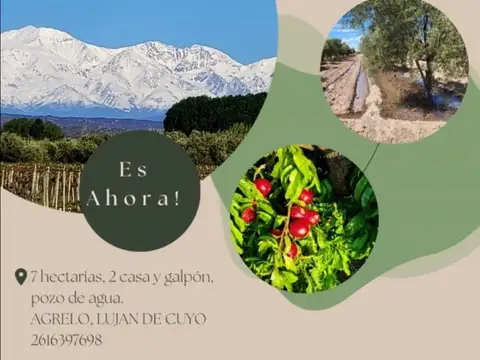 Finca productiva Luján - 7 Has - Enorme rinde