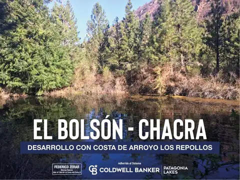 OPORTUNIDAD DESARROLLO LOTES CON COSTA DE LAGO - VENTA CHACRA LOS REPOLLOS – PARAÍSO EN PLENA PATAGO
