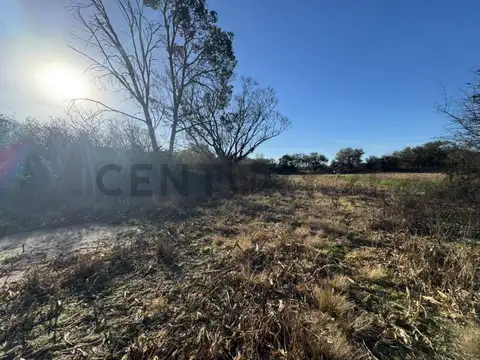 UNICO Usd 8800/HA Campo 59 Ha Aptitud Suelo Mixto ESCRITURA