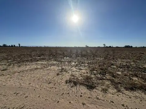 UNICO Usd 8800/HA Campo 59 Ha Aptitud Suelo Mixto ESCRITURA