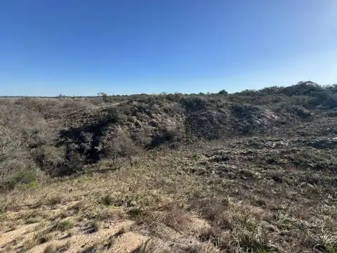 Campo en Venta de 5,90  ha