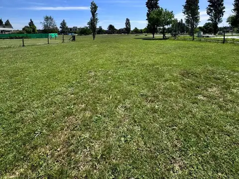 Terreno en Venta de 1258,0 m2