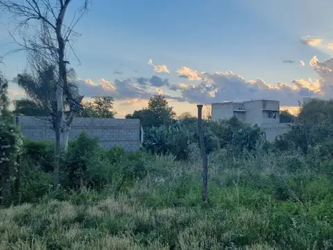 Intendente J. Molinari